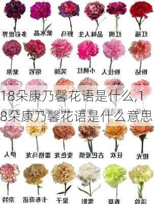 18朵康乃馨花语是什么,18朵康乃馨花语是什么意思