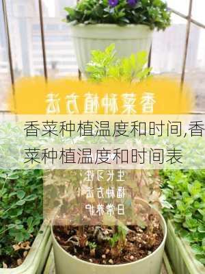 香菜种植温度和时间,香菜种植温度和时间表