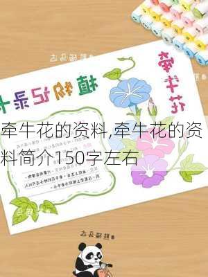 牵牛花的资料,牵牛花的资料简介150字左右