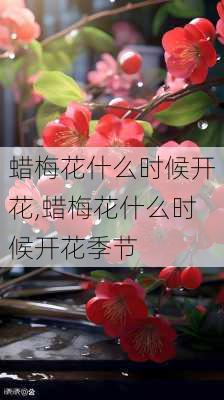 蜡梅花什么时候开花,蜡梅花什么时候开花季节