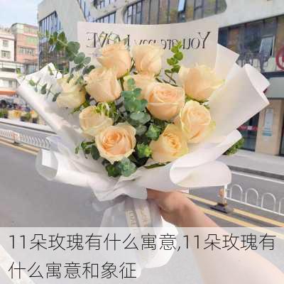 11朵玫瑰有什么寓意,11朵玫瑰有什么寓意和象征