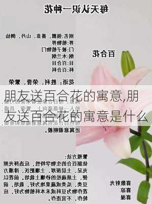 朋友送百合花的寓意,朋友送百合花的寓意是什么