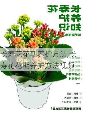 长寿花花期养护方法,长寿花花期养护方法视频