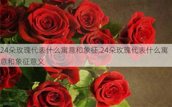 24朵玫瑰代表什么寓意和象征,24朵玫瑰代表什么寓意和象征意义