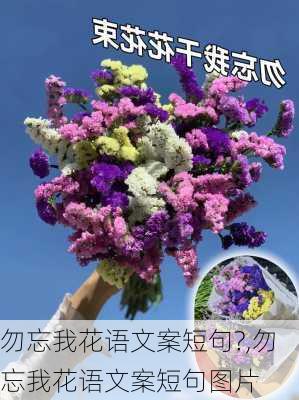 勿忘我花语文案短句?,勿忘我花语文案短句图片