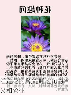 睡莲花的含义,睡莲花的含义和象征