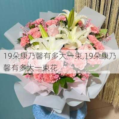 19朵康乃馨有多大一束,19朵康乃馨有多大一束花