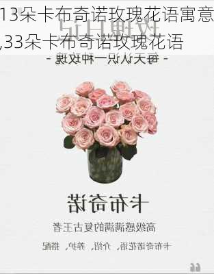 13朵卡布奇诺玫瑰花语寓意,33朵卡布奇诺玫瑰花语