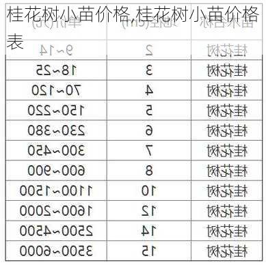 桂花树小苗价格,桂花树小苗价格表