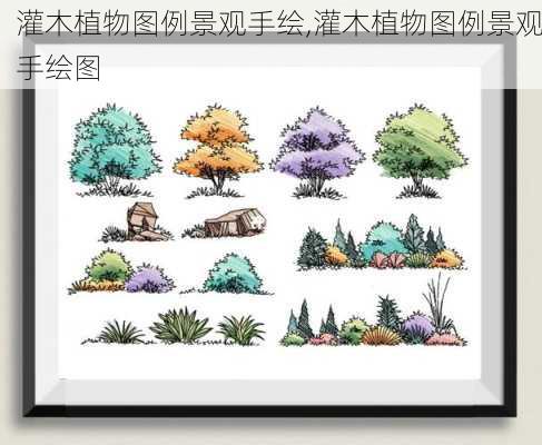 灌木植物图例景观手绘,灌木植物图例景观手绘图