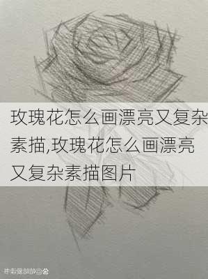 玫瑰花怎么画漂亮又复杂素描,玫瑰花怎么画漂亮又复杂素描图片