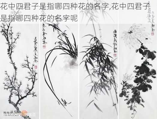 花中四君子是指哪四种花的名字,花中四君子是指哪四种花的名字呢