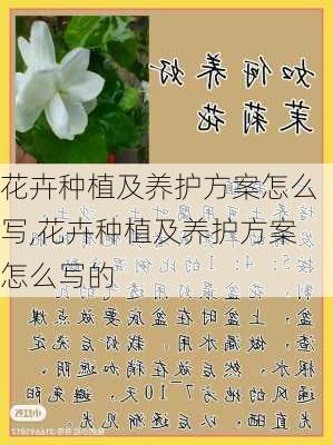 花卉种植及养护方案怎么写,花卉种植及养护方案怎么写的