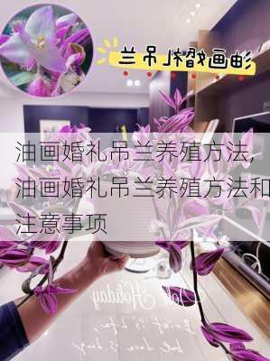 油画婚礼吊兰养殖方法,油画婚礼吊兰养殖方法和注意事项