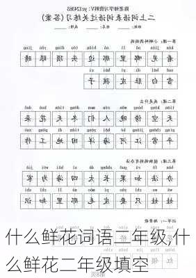 什么鲜花词语二年级,什么鲜花二年级填空