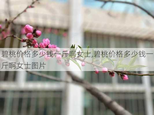 碧桃价格多少钱一斤啊女士,碧桃价格多少钱一斤啊女士图片