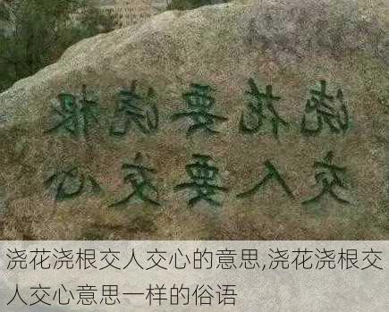 浇花浇根交人交心的意思,浇花浇根交人交心意思一样的俗语