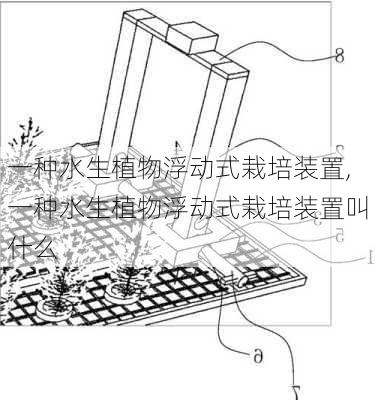 一种水生植物浮动式栽培装置,一种水生植物浮动式栽培装置叫什么