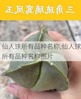 仙人球所有品种名称,仙人球所有品种名称图片