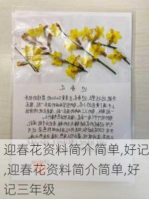 迎春花资料简介简单,好记,迎春花资料简介简单,好记三年级