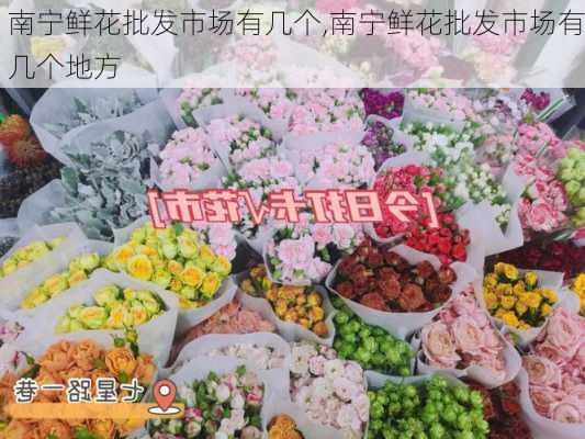 南宁鲜花批发市场有几个,南宁鲜花批发市场有几个地方