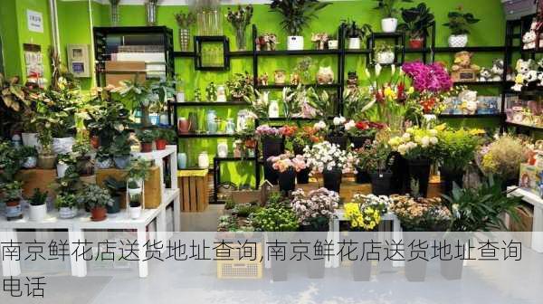 南京鲜花店送货地址查询,南京鲜花店送货地址查询电话