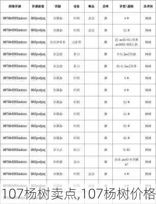 107杨树卖点,107杨树价格