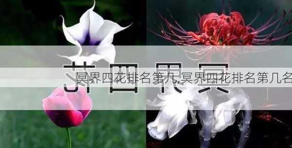 冥界四花排名第几,冥界四花排名第几名