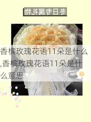 香槟玫瑰花语11朵是什么,香槟玫瑰花语11朵是什么意思