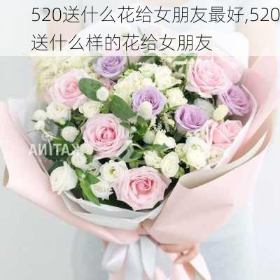 520送什么花给女朋友最好,520送什么样的花给女朋友