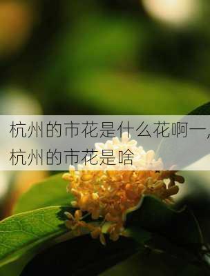 杭州的市花是什么花啊一,杭州的市花是啥