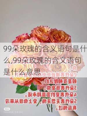 99朵玫瑰的含义语句是什么,99朵玫瑰的含义语句是什么意思