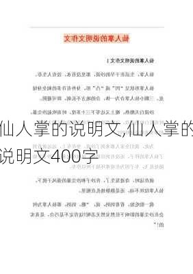 仙人掌的说明文,仙人掌的说明文400字