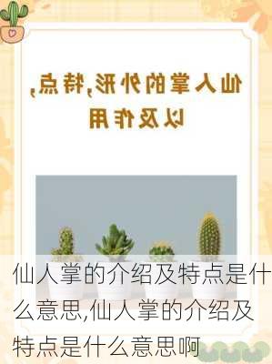 仙人掌的介绍及特点是什么意思,仙人掌的介绍及特点是什么意思啊