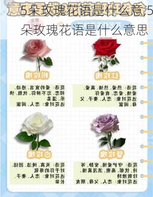 5朵玫瑰花语是什么意,5朵玫瑰花语是什么意思