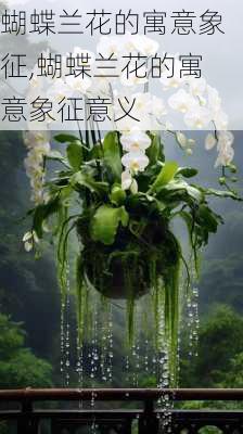 蝴蝶兰花的寓意象征,蝴蝶兰花的寓意象征意义