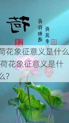 荷花象征意义是什么,荷花象征意义是什么?