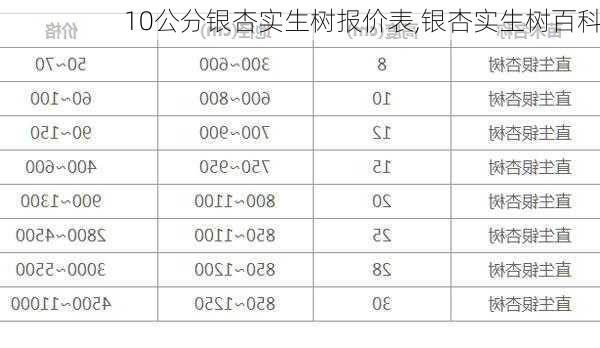 10公分银杏实生树报价表,银杏实生树百科