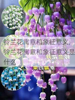 铃兰花寓意和象征意义,铃兰花寓意和象征意义是什么