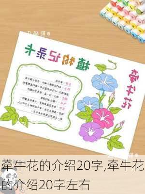 牵牛花的介绍20字,牵牛花的介绍20字左右