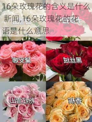 16朵玫瑰花的含义是什么 新闻,16朵玫瑰花的花语是什么意思