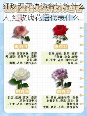 红玫瑰花语适合送给什么人,红玫瑰花语代表什么