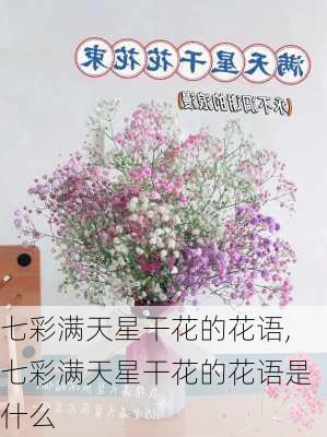 七彩满天星干花的花语,七彩满天星干花的花语是什么