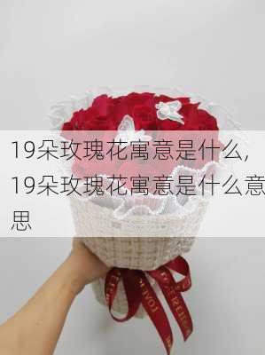 19朵玫瑰花寓意是什么,19朵玫瑰花寓意是什么意思