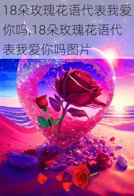 18朵玫瑰花语代表我爱你吗,18朵玫瑰花语代表我爱你吗图片