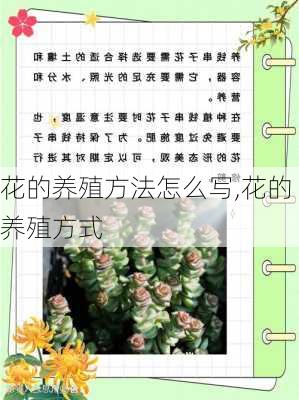 花的养殖方法怎么写,花的养殖方式