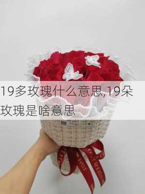 19多玫瑰什么意思,19朵玫瑰是啥意思