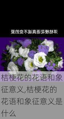 桔梗花的花语和象征意义,桔梗花的花语和象征意义是什么