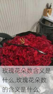 玫瑰花朵数含义是什么,玫瑰花朵数的含义是什么