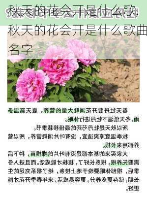 秋天的花会开是什么歌,秋天的花会开是什么歌曲名字